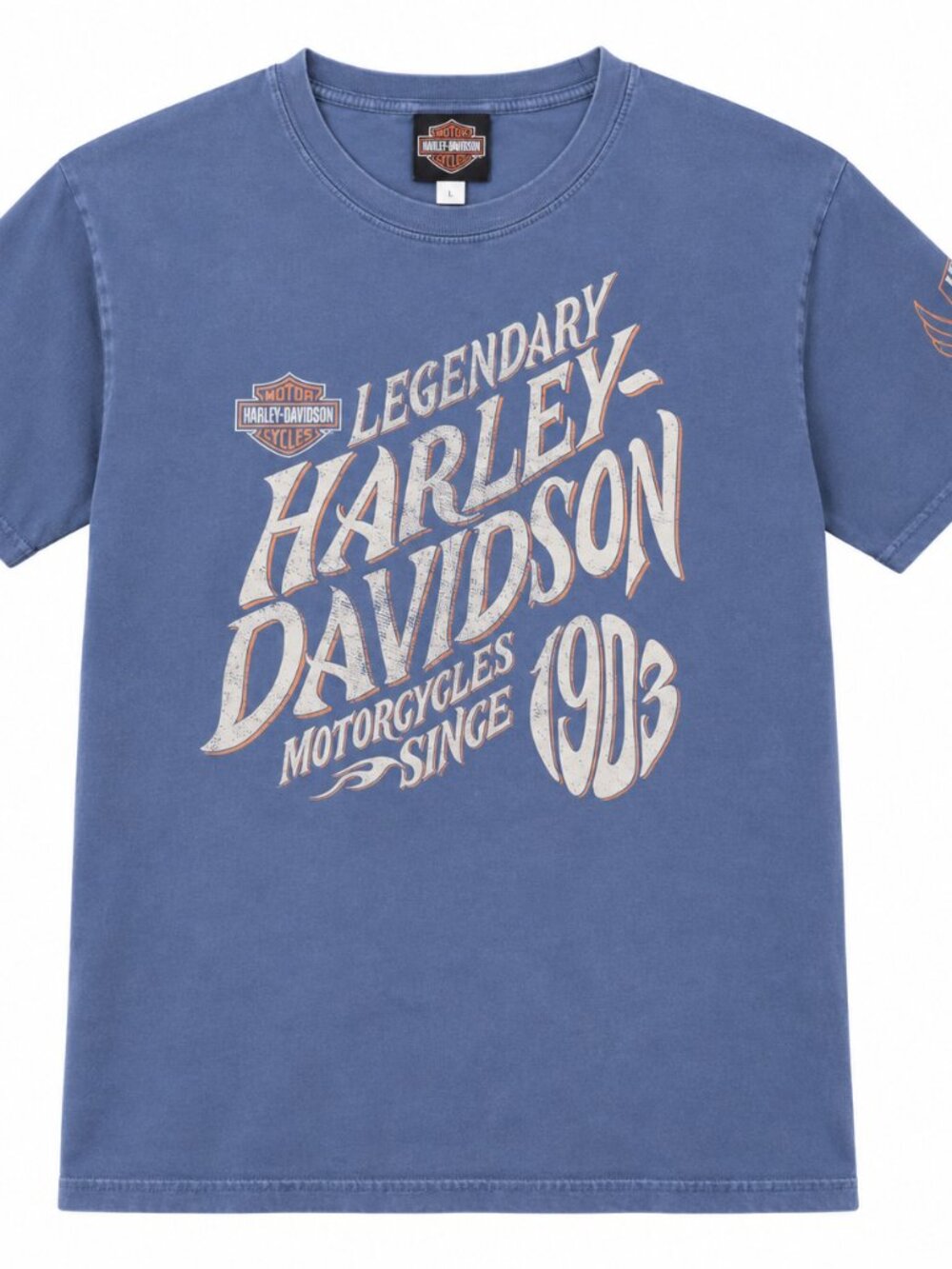 Harley-Davidson Bravado Woodstock IL Legendary T-Shirt Men's XL Blue 2000s